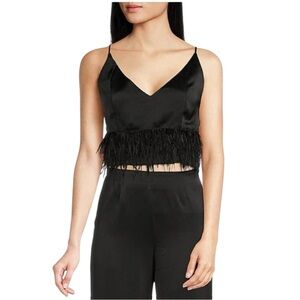 WAYF “Feather Trim” Satin Crop Top –Black Bustier Cami, Size S